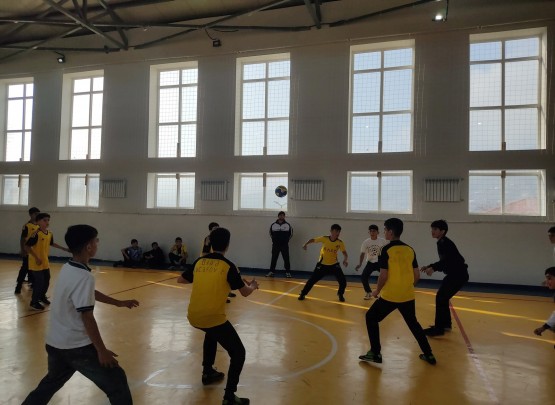 Lerikdə həndbol turniri keçirilib